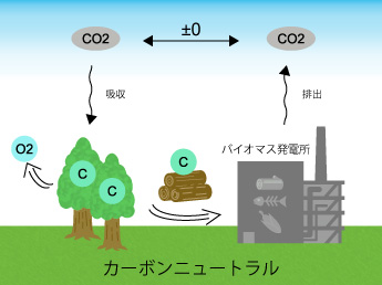 カーボンニュートラル